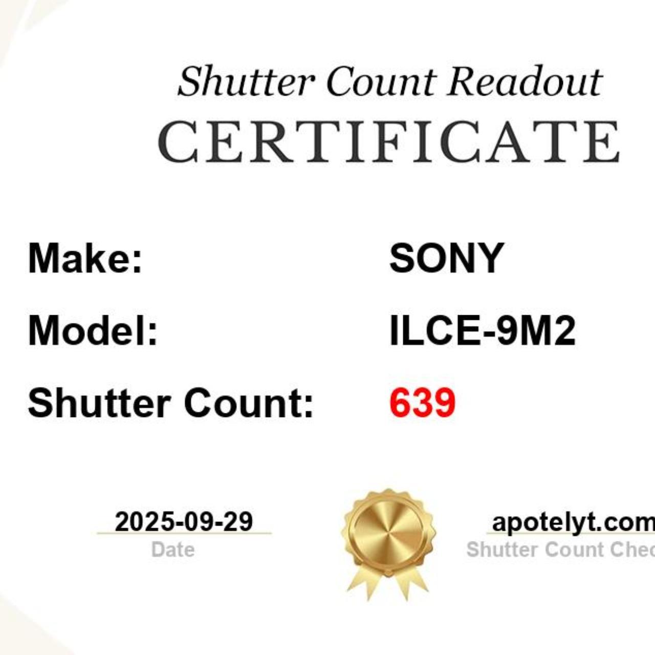 Sony A9 II Mirrorless Camera | 639 Shutter Count | 24.2MP Full-Frame | Body Only | Tested & Working | Black