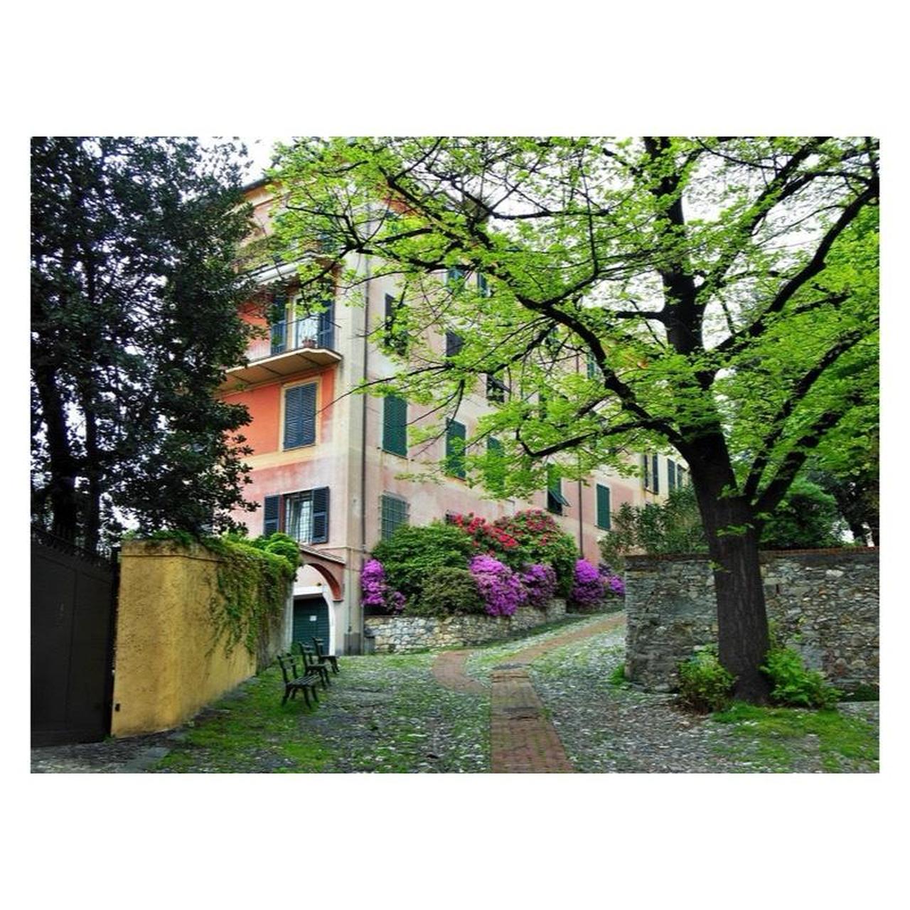 Nikon Coolpix S6300 Digital Camera | 16.0MP | Tested & Working | Silver