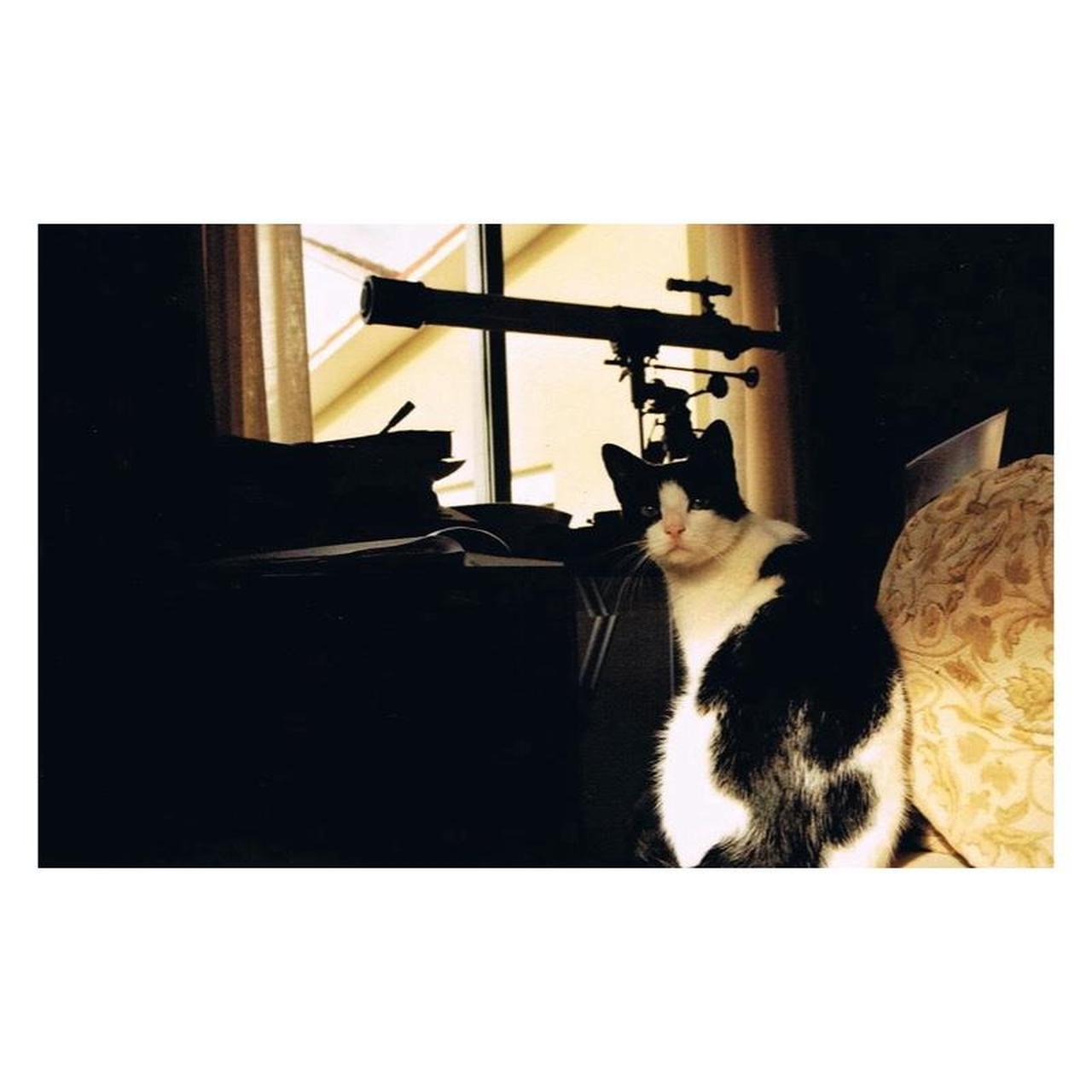 Chinon Genesis III | 35mm Point & Shoot Film Camera | Tested & Working | Black