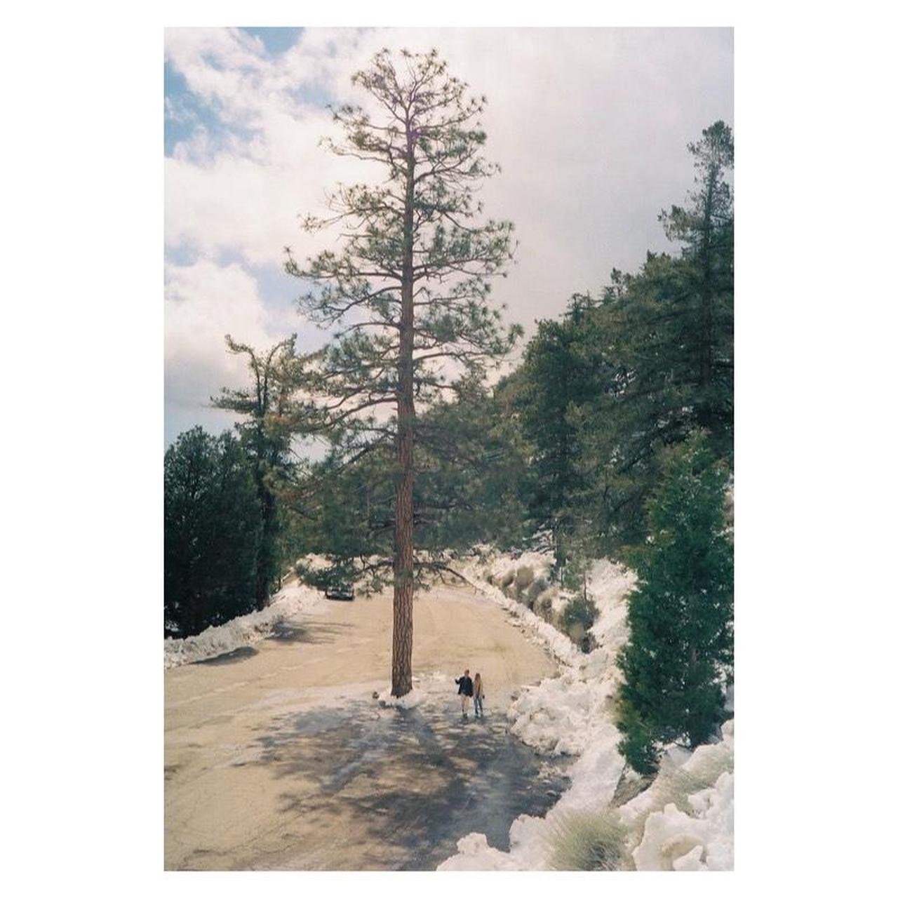 Canon Canonet QL17 Film Camera | 35mm Rangefinder | Tested & Working | Silver & Black