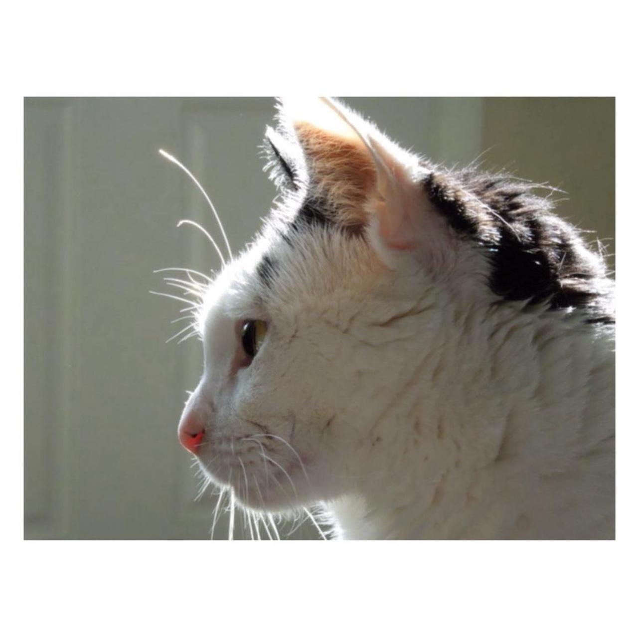 Nikon Coolpix S8200 Digital Camera | 16.1MP | Tested & Working | Black