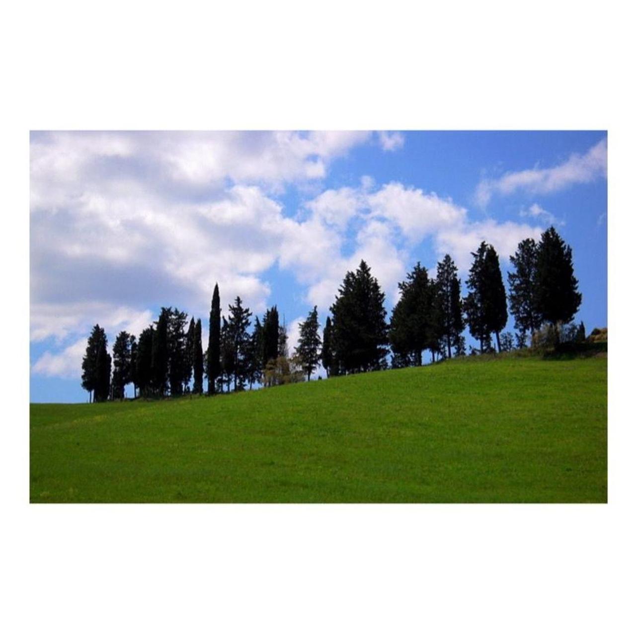 Nikon Coolpix S610 Digital Camera | 10.0MP | Tested & Working | Black