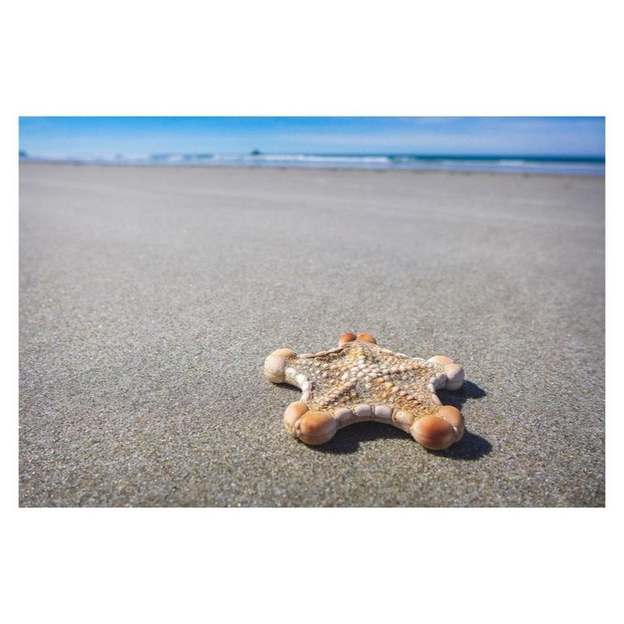 Panasonic Lumix DMC-LX7 Digital Camera | 10MP | Tested & Working | Black