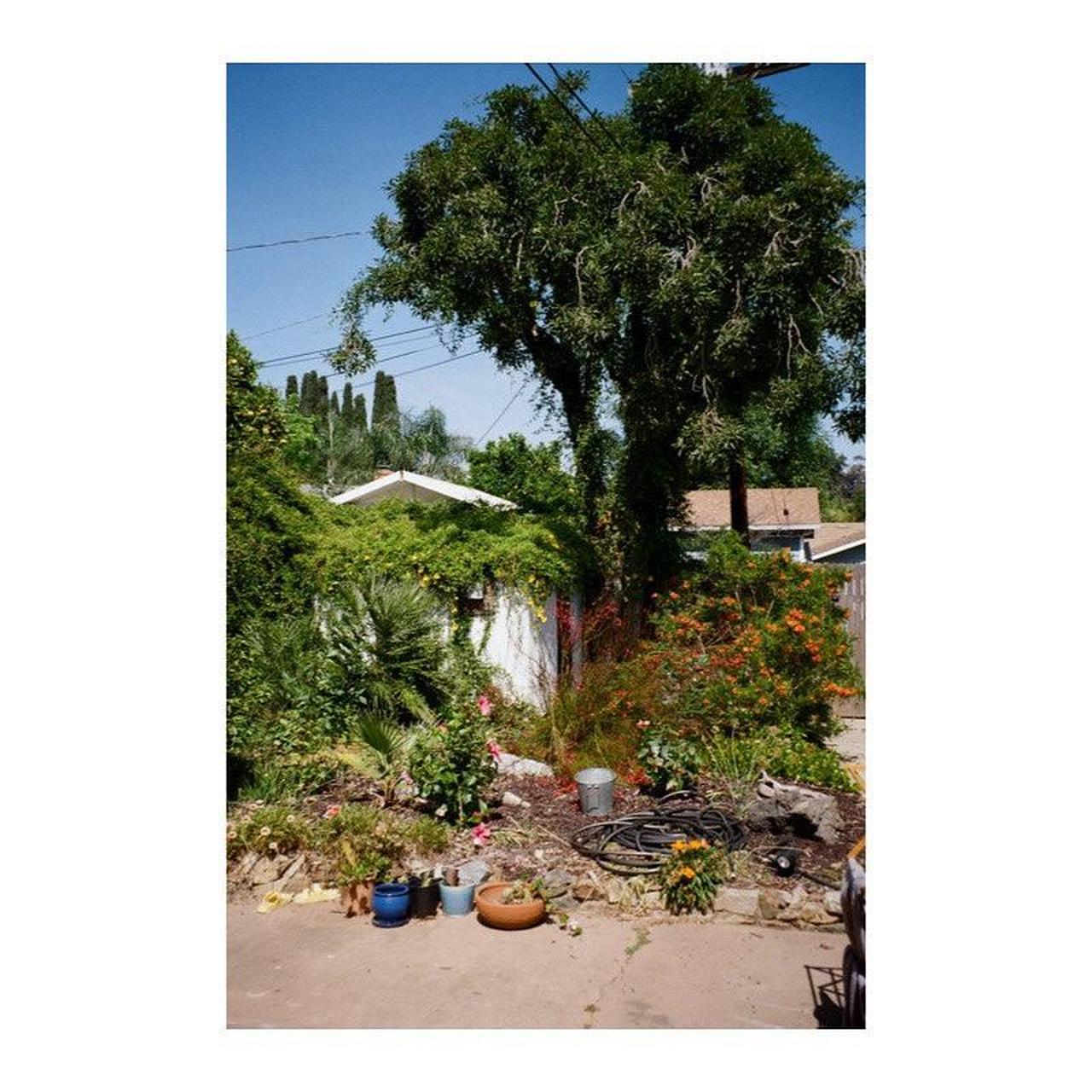 Pentax IQZoom EZY Film Camera | 35mm Point & Shoot | Tested & Working | Silver