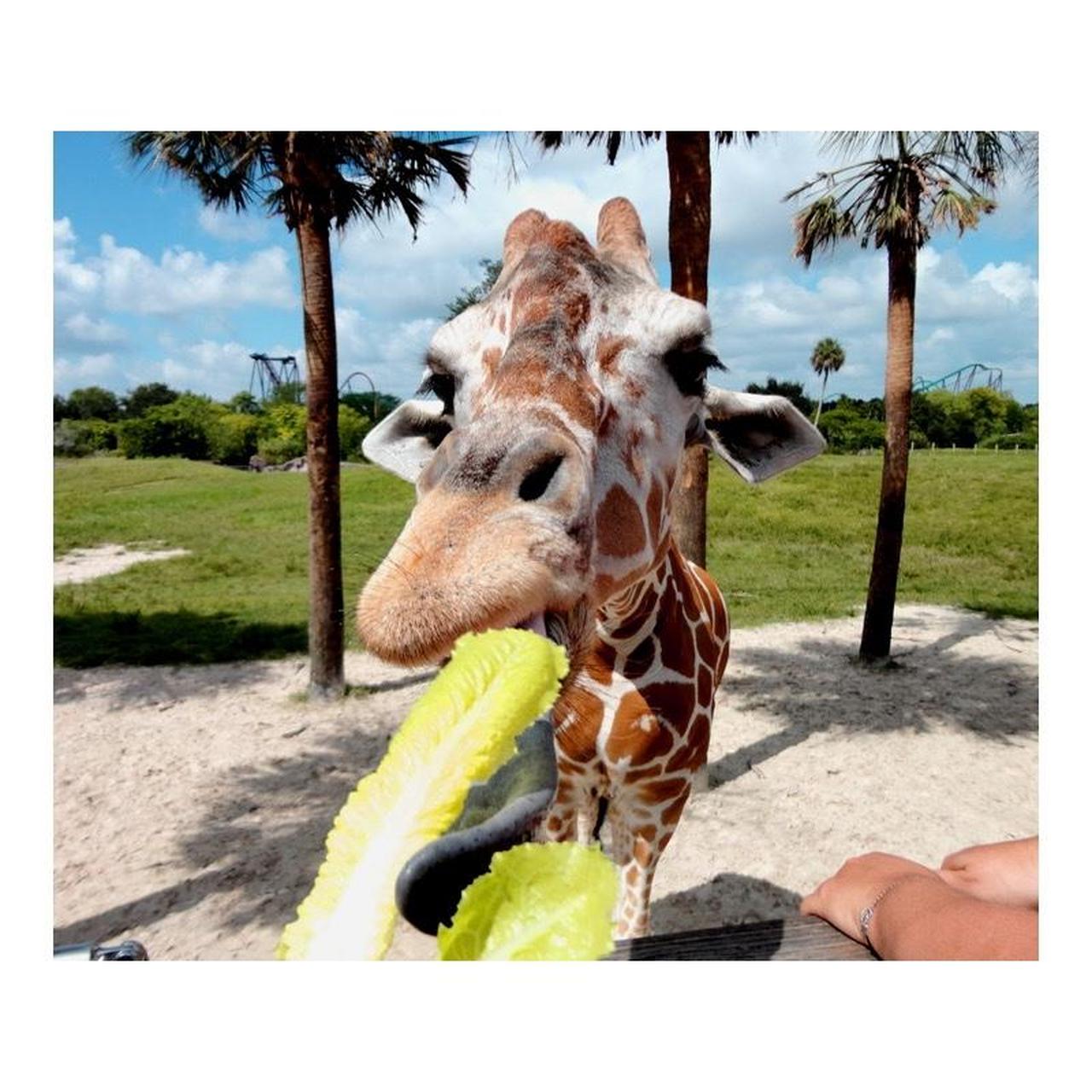 Sony CyberShot DSC-W570 Digital Camera | 16.1MP | Tested & Working | Silver