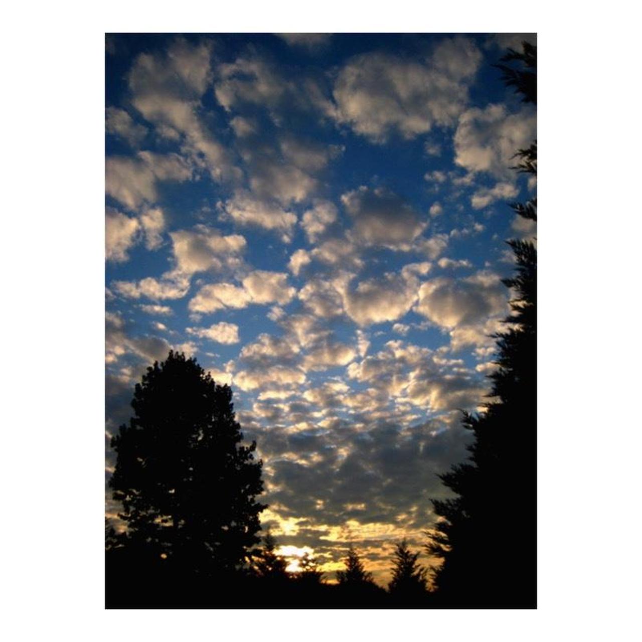 Canon PowerShot SD750 Digital Camera | 7MP | Tested & Working | Silver