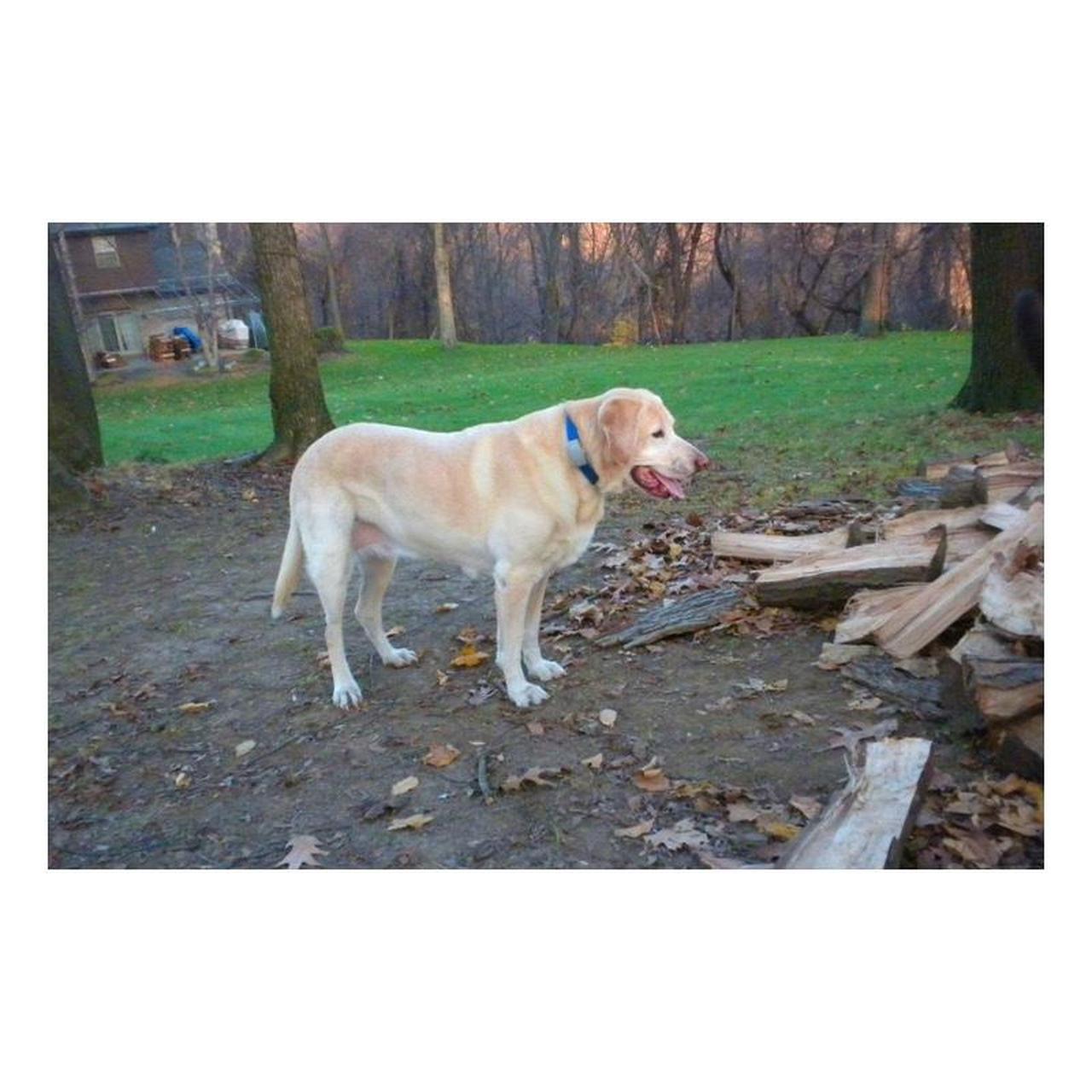 Nikon Coolpix S630 Digital Camera | 12MP | Tested & Working | Black