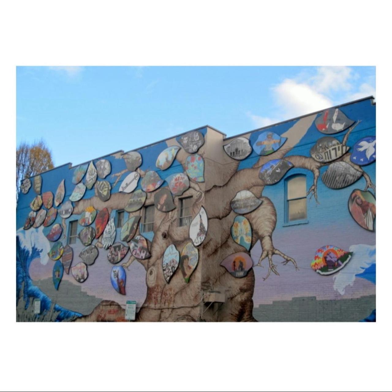 Canon PowerShot SD780 IS Digital Camera | 12.1MP | Tested & Working | Black