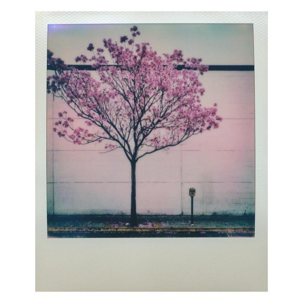 Polaroid OneStep Instant Film Camera | 600 Type | Tested & Working | Grey