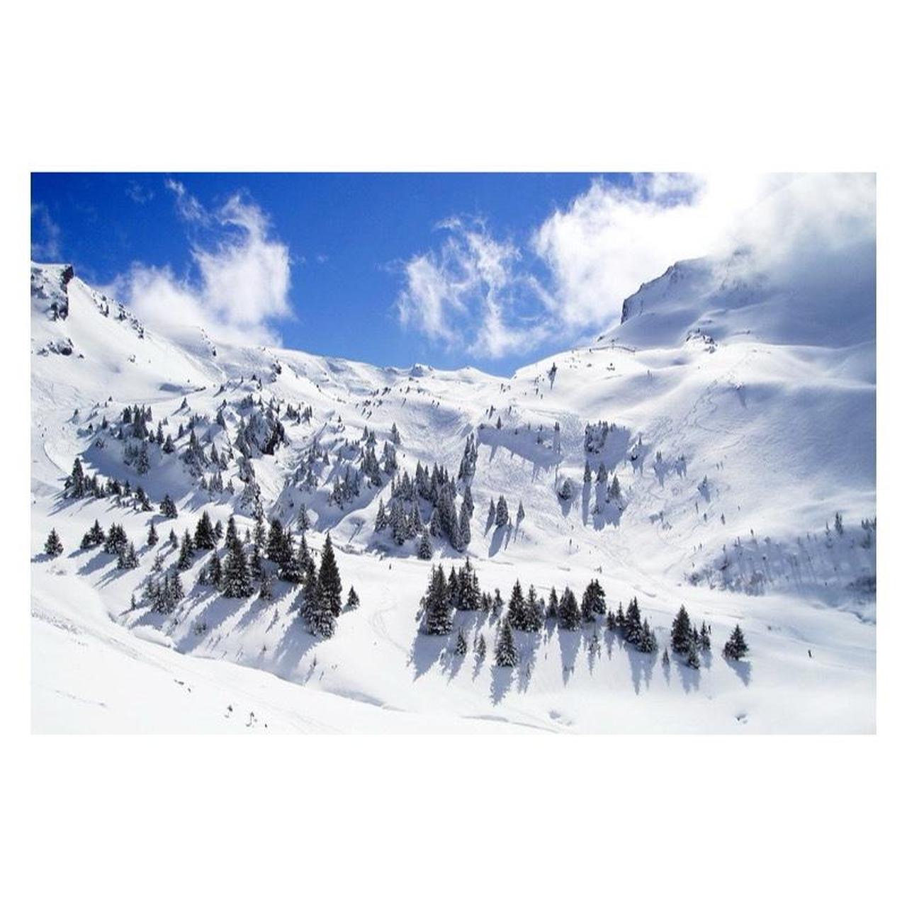 Olympus Stylus Verve Digital Camera | 4.0MP | Tested & Working | Orange