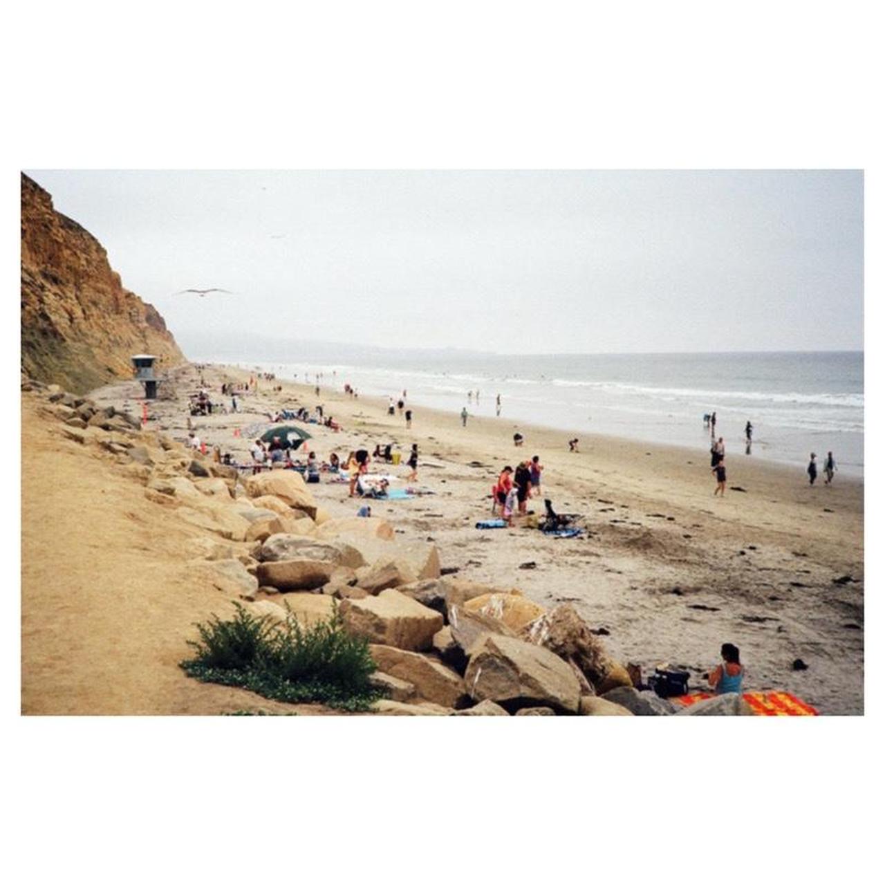 Canon AF35 ML Film Camera | 35mm Point & Shoot | Tested & Working | Black