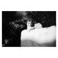 Canon SureShot Tele Quartz Date | 35mm Point & Shoot | Tested & Working | Black