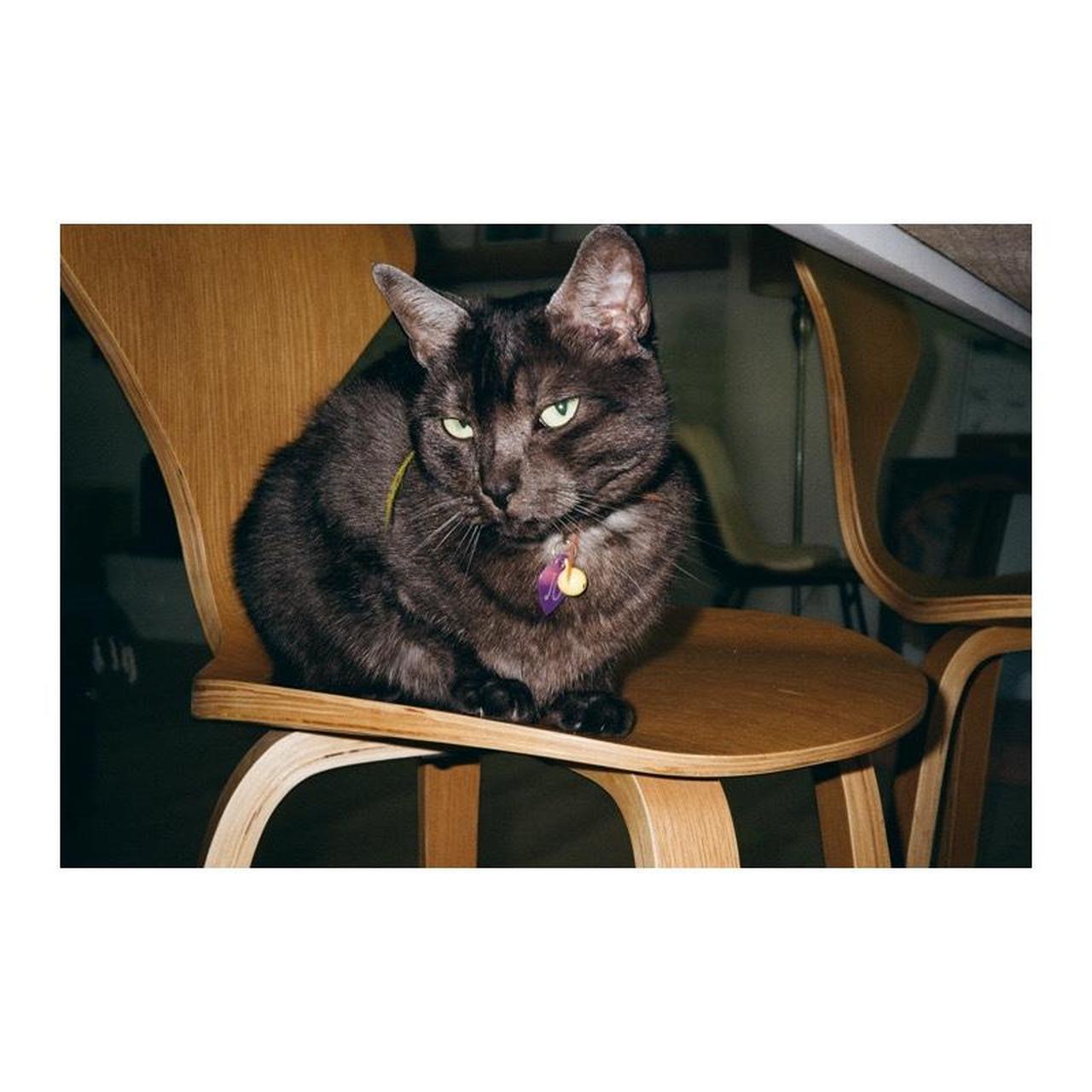 Pentax IQZoom EZY | 35mm Film Camera | Tested & Working | Black