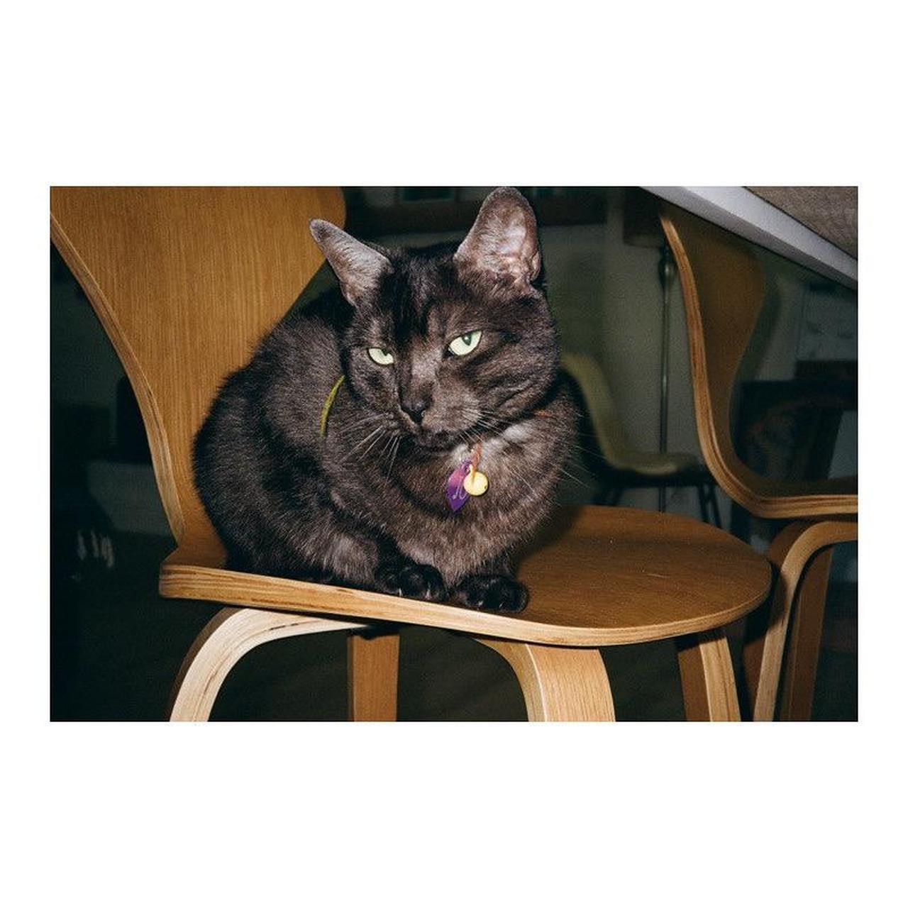 Pentax IQZoom EZY Film Camera | 35mm Point & Shoot | Tested & Working | Silver