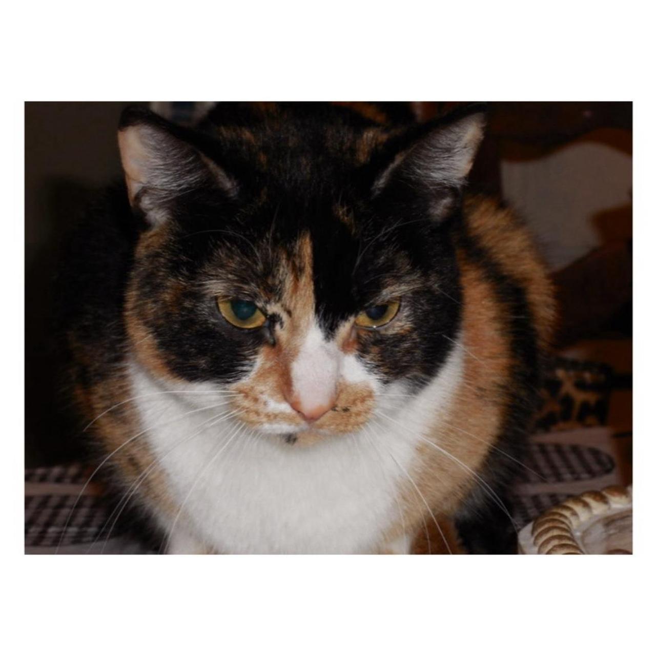 Nikon Coolpix S5200 Digital Camera | 16MP | Tested & Working | Purple