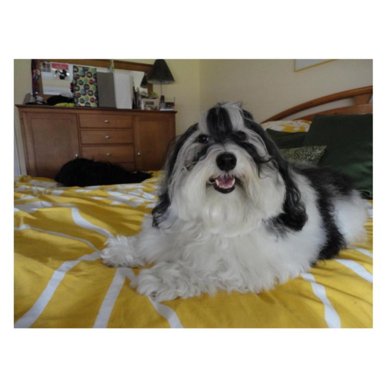 Sony Cyber-shot DSC-W350 Digital Camera | 14.1MP | Tested & Working | Blue