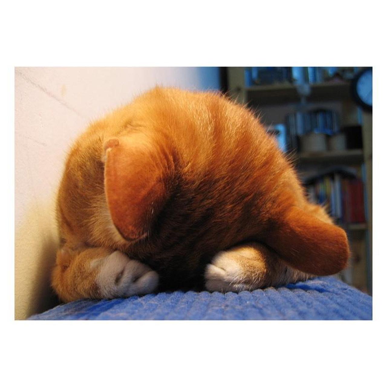 Canon PowerShot S50 Digital Camera | 5MP | Tested & Working | Black