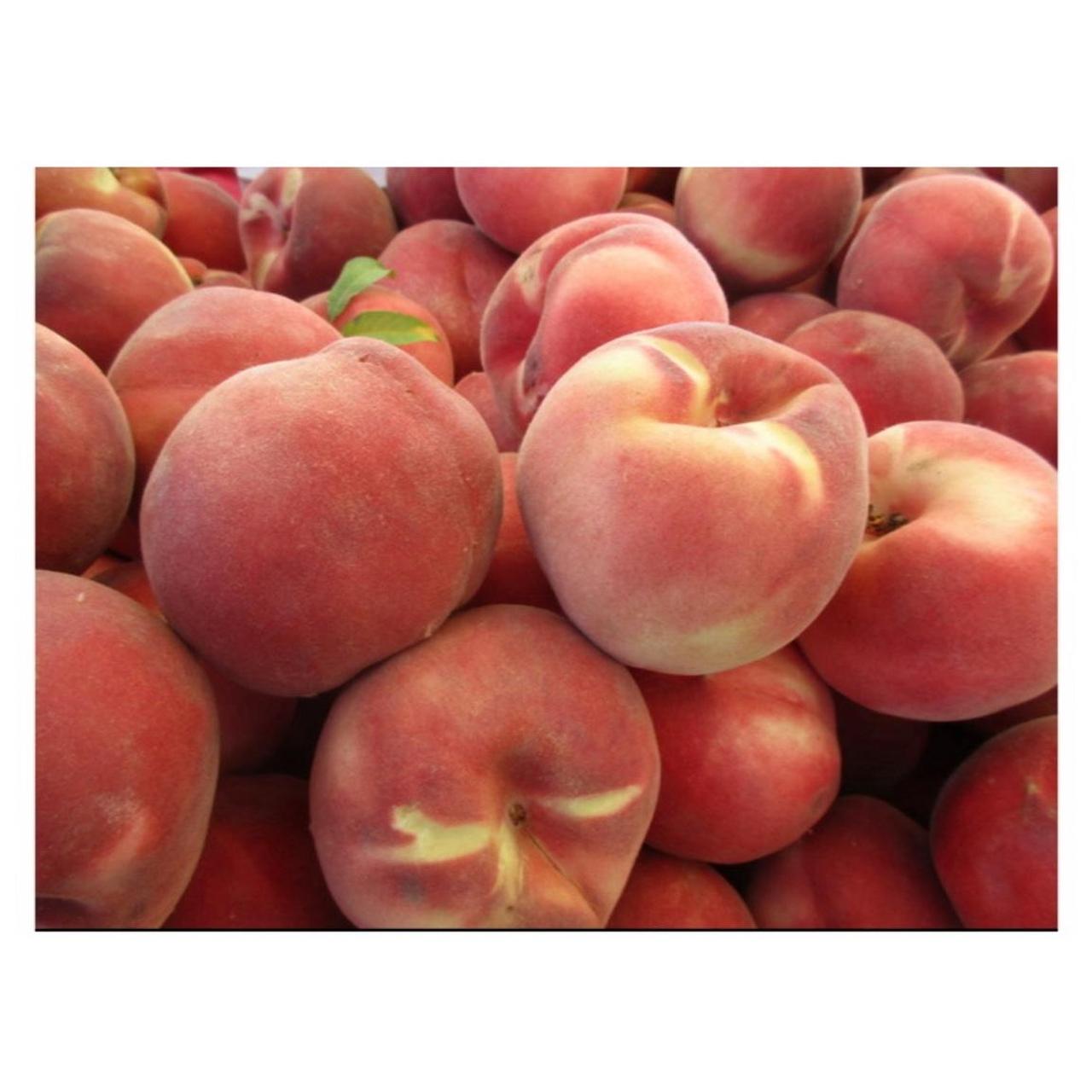 Canon PowerShot ELPH 170 IS Digital Camera | 20MP | Tested & Working | Silver