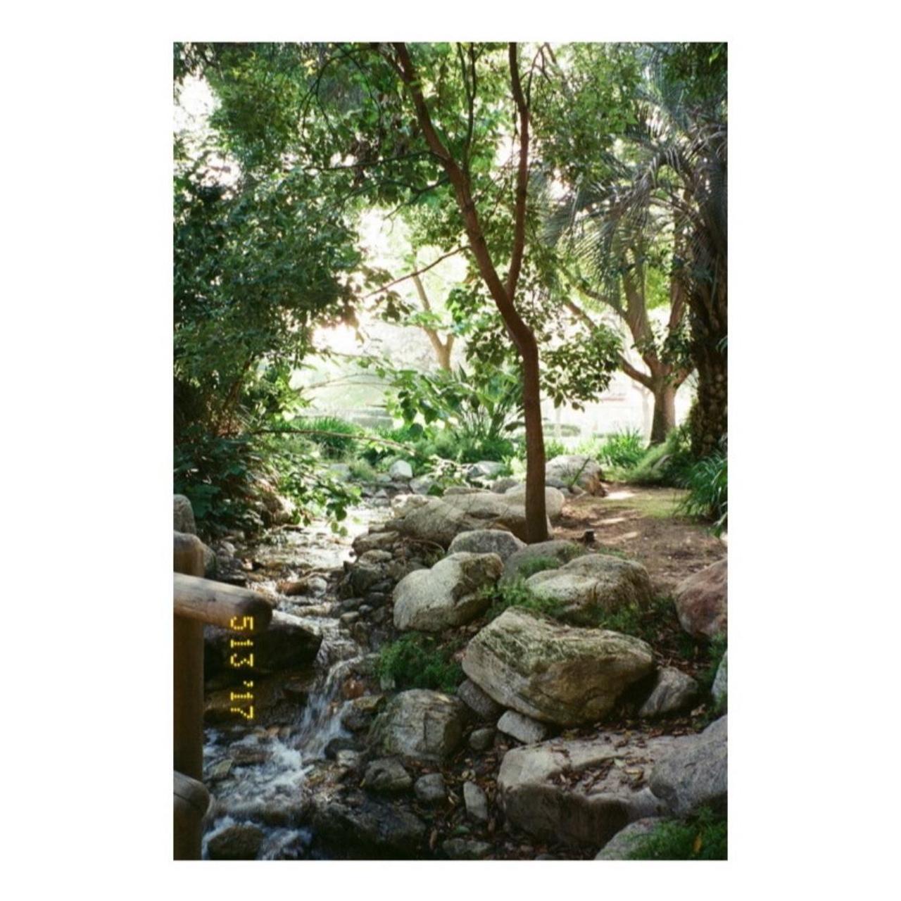 Nikon Lite Touch Zoom 110s 35mm Film Camera | Tested & Working | Gold