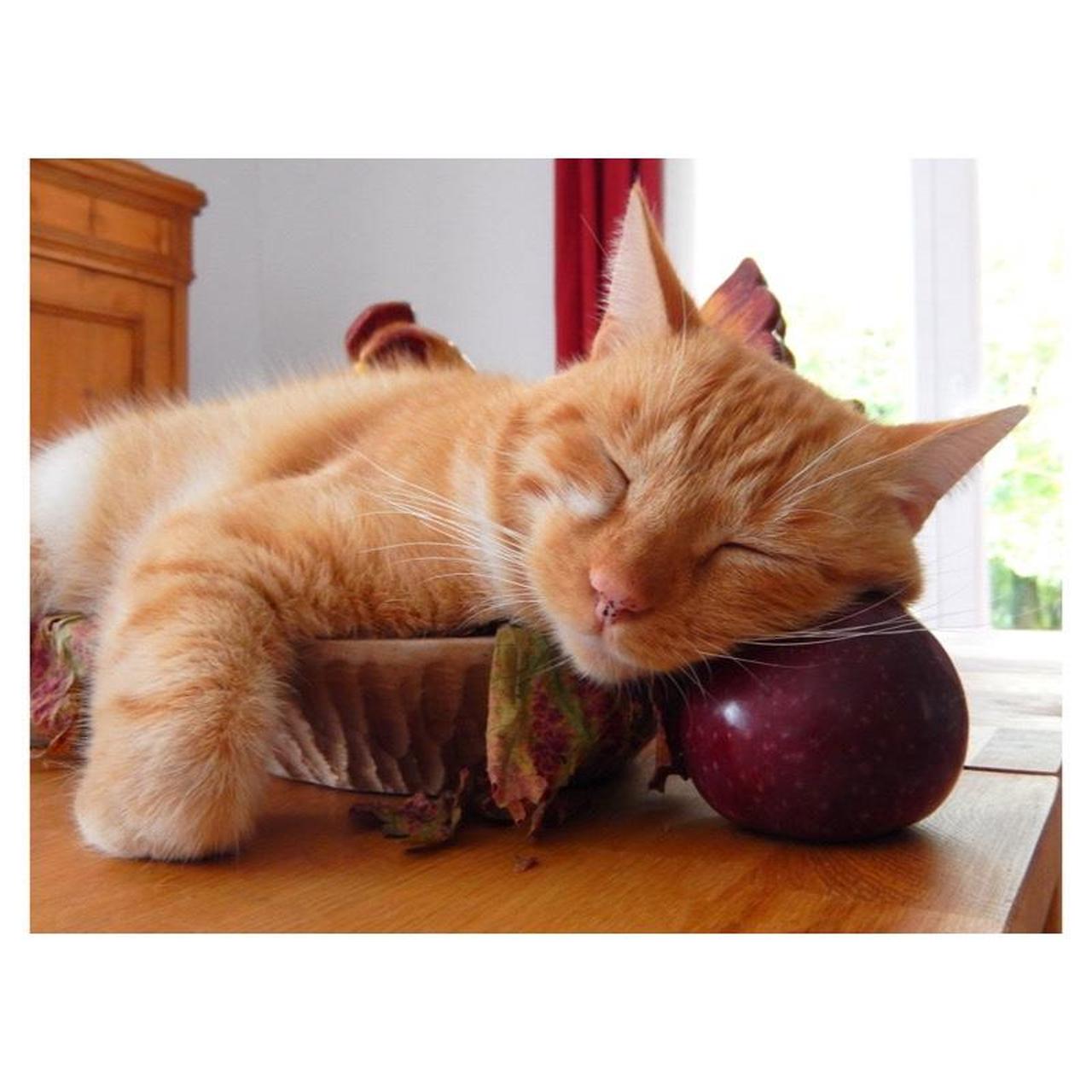 Nikon Coolpix S9600 Digital Camera | 16MP | Tested & Working | Black