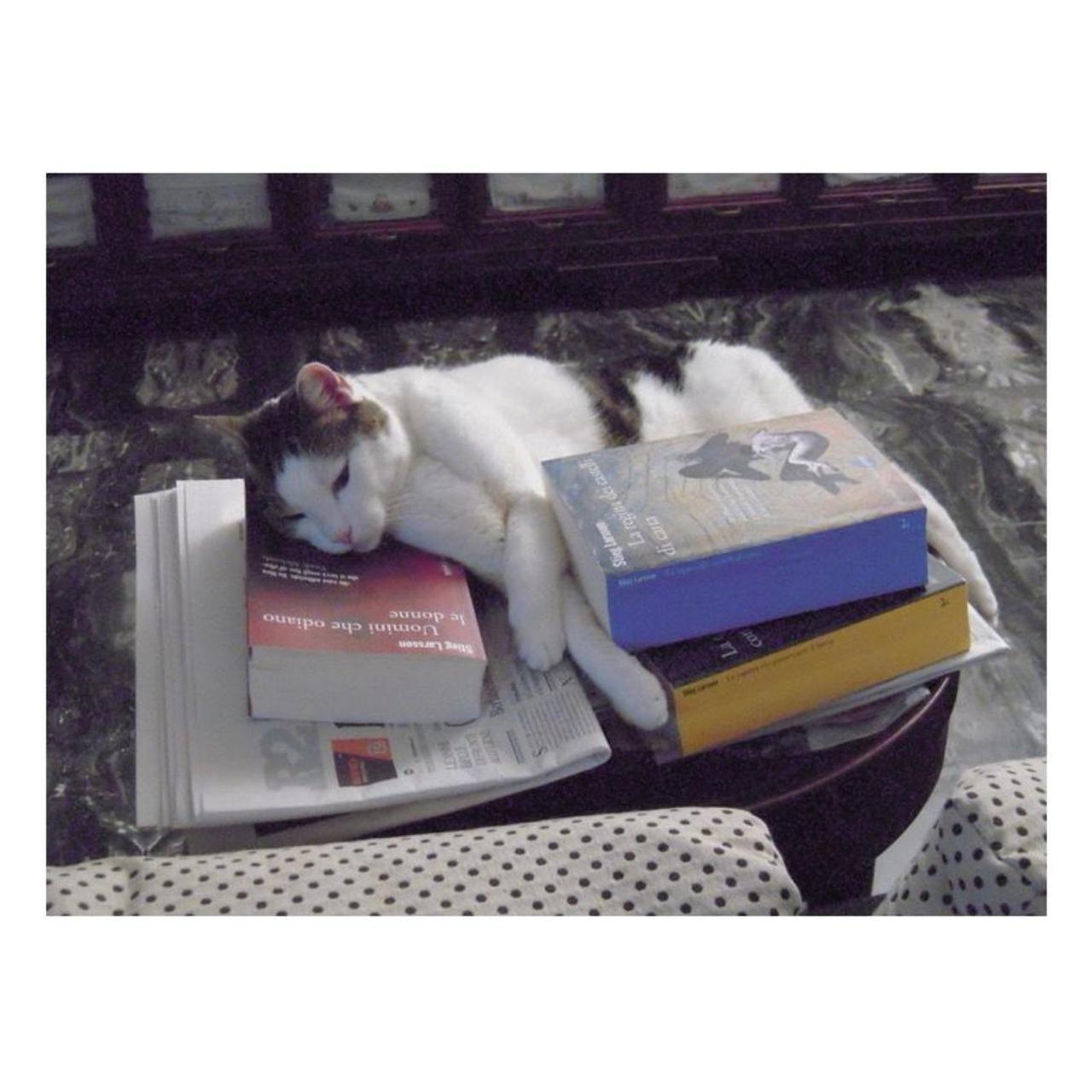 Nikon Coolpix S610 Digital Camera | 10.0MP | Tested & Working | Black