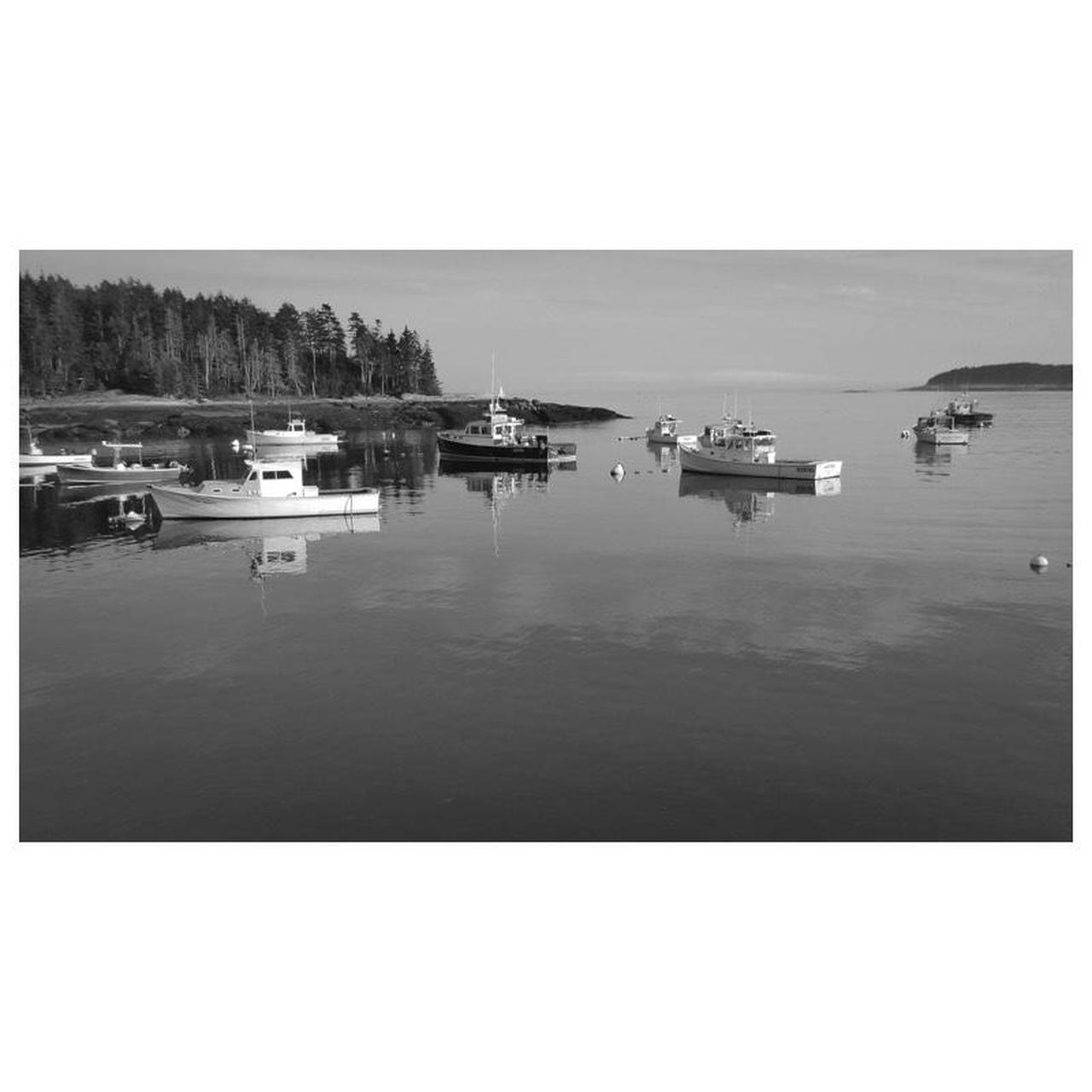 Panasonic Lumix DMC-ZS50 Digital Camera | 12.1MP | Tested & Working | Black