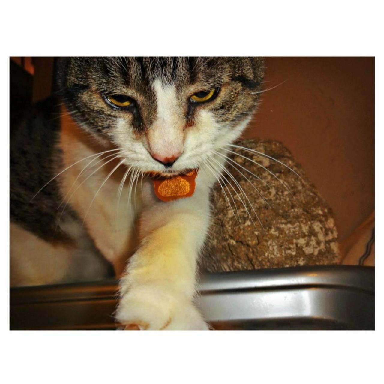 Sony CyberShot DSC-WX150 Digital Camera | 18.2MP | Tested & Working | Blue