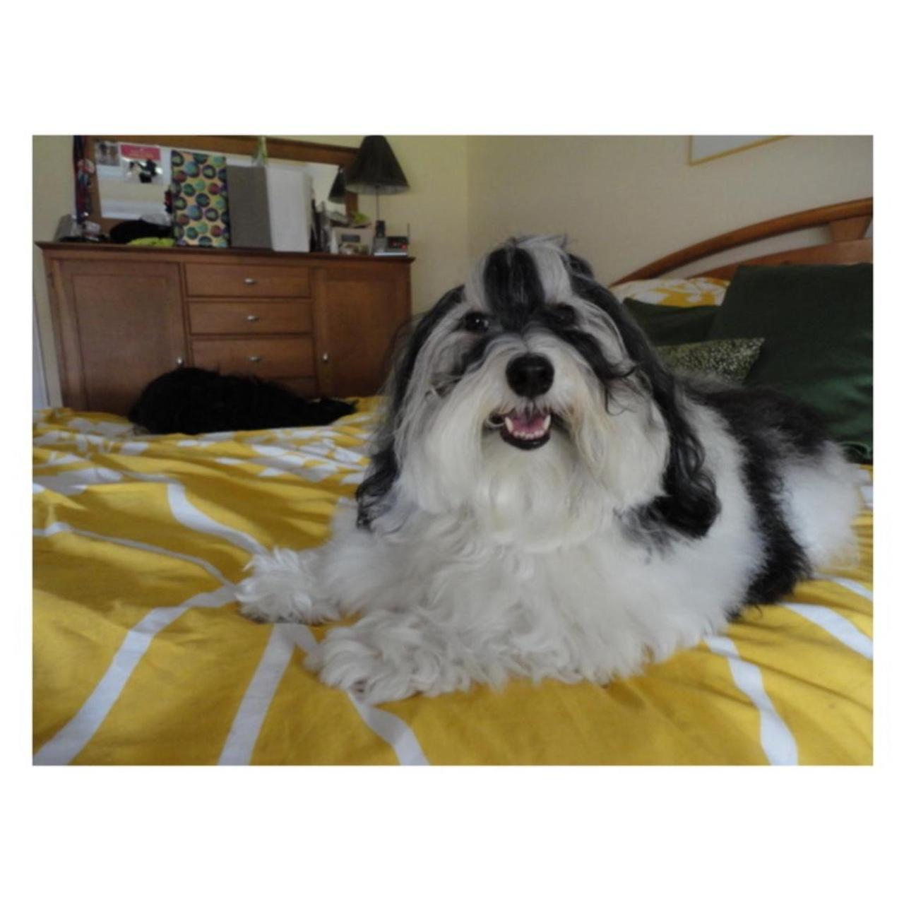 Sony Cyber-shot DSC-W350 Digital Camera | 14.1MP | Tested & Working | Black