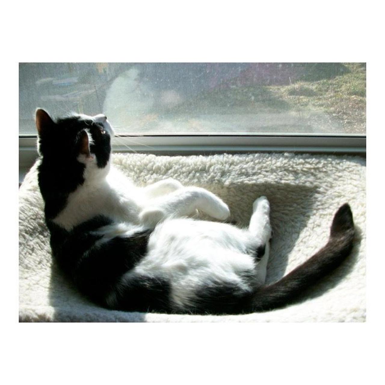 Kodak EasyShare M763 Digital Camera | 7.0MP | Tested & Working | Orange