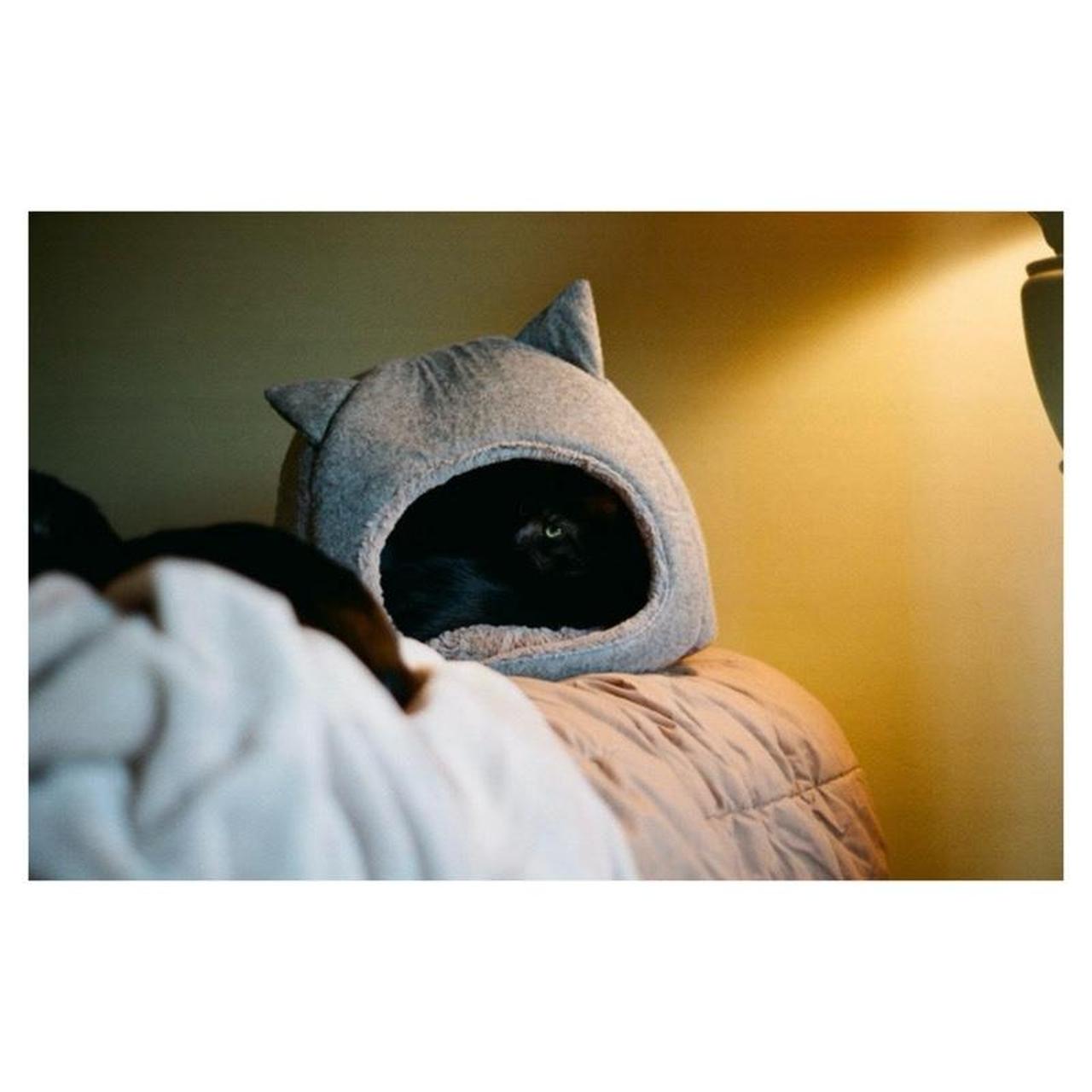 Minolta SRT 101 | FULLY CLA'd | 35mm SLR Film Camera | Tested & Working | Silver & Black