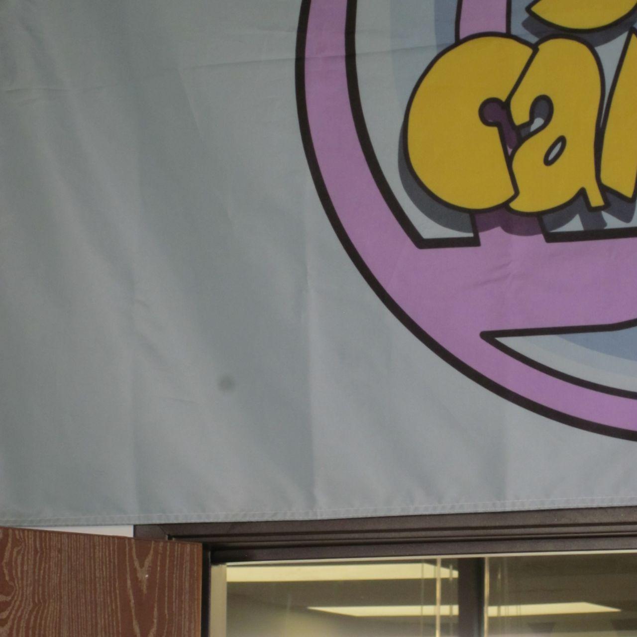 Canon PowerShot SD1300 IS Digital Camera | 12.1MP | Tested & Working | Pink