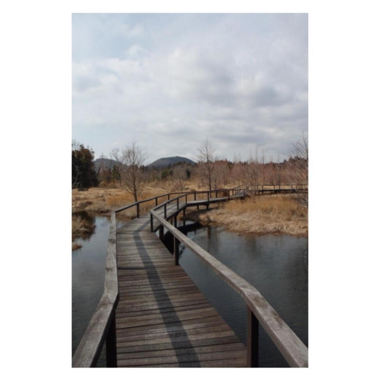 Samsung PL120 Digital Camera | 14MP | Tested & Working | Black