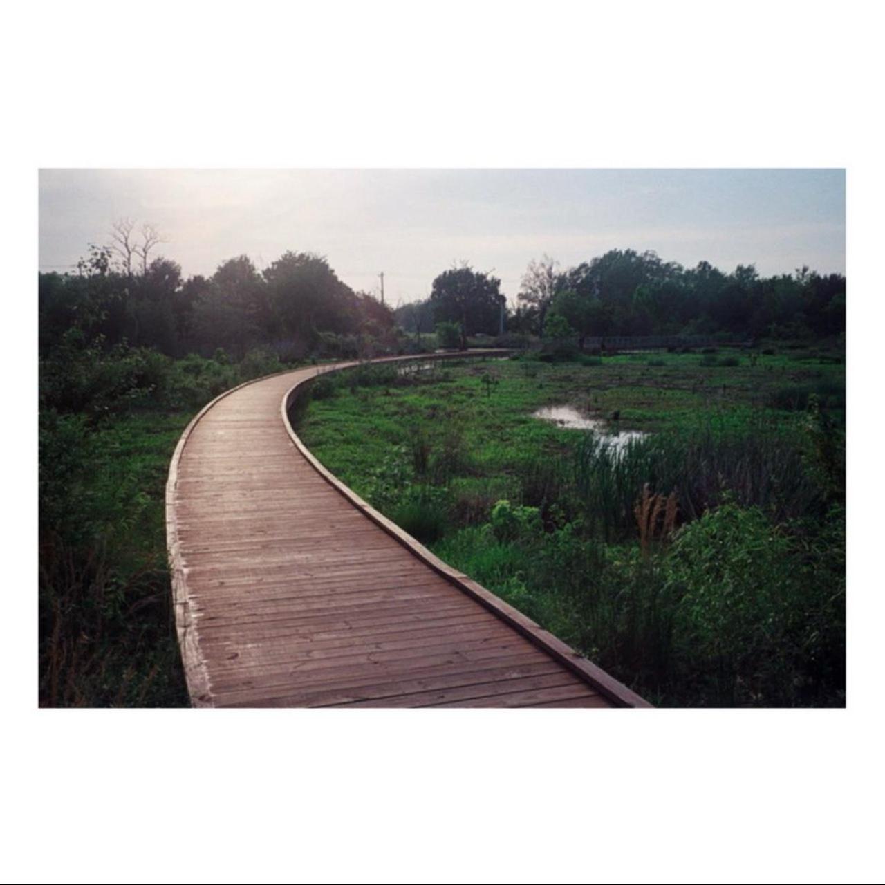 Pentax IQZoom 160 35mm Point & Shoot Film Camera | Tested & Working | Grey