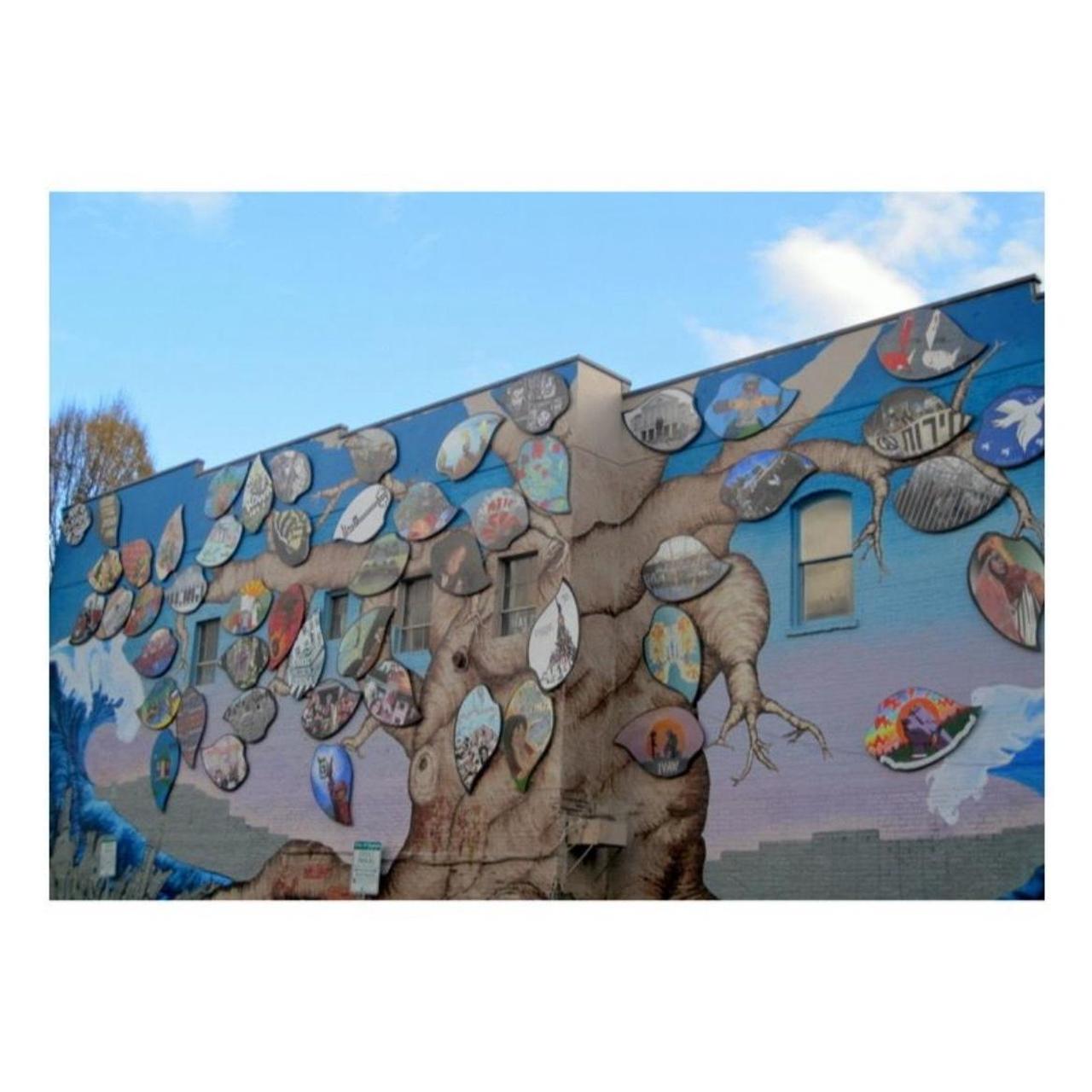 Canon PowerShot SD780 IS Digital Camera | 12.1MP | Tested & Working | Black