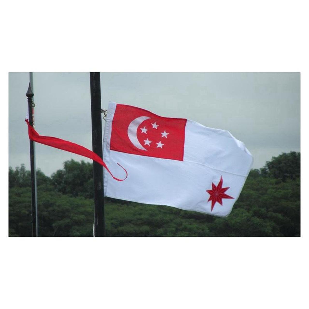 Canon PowerShot SX210 IS Digital Camera | 14.1MP | Tested & Working | Pink