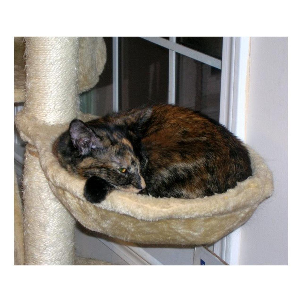 Nikon Coolpix 5600 Digital Camera | 5.1MP | Tested & Working | Silver