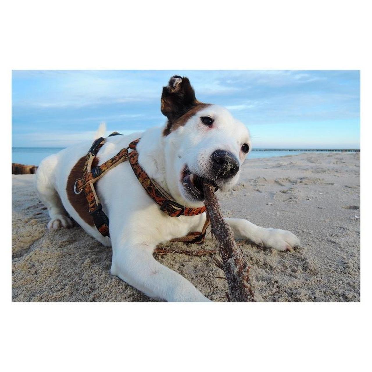 Nikon Coolpix P330 Digital Camera | 12.2MP | Tested & Working | Black