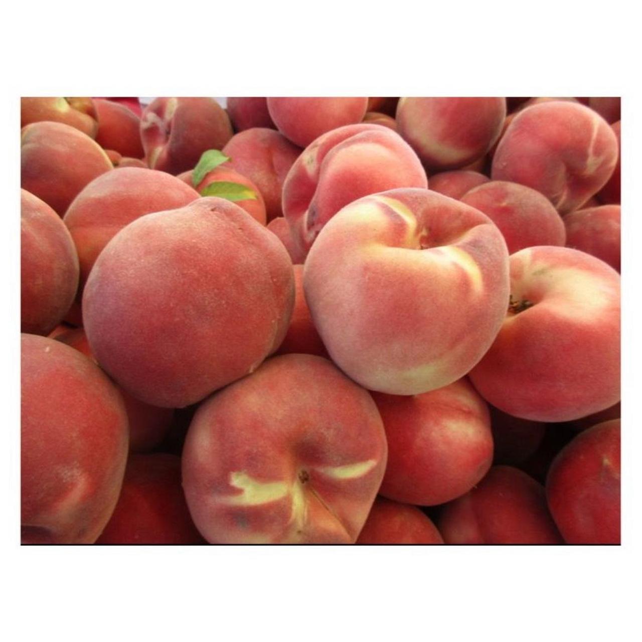 Canon PowerShot ELPH 170 IS Digital Camera | 20MP | Tested & Working | Blue