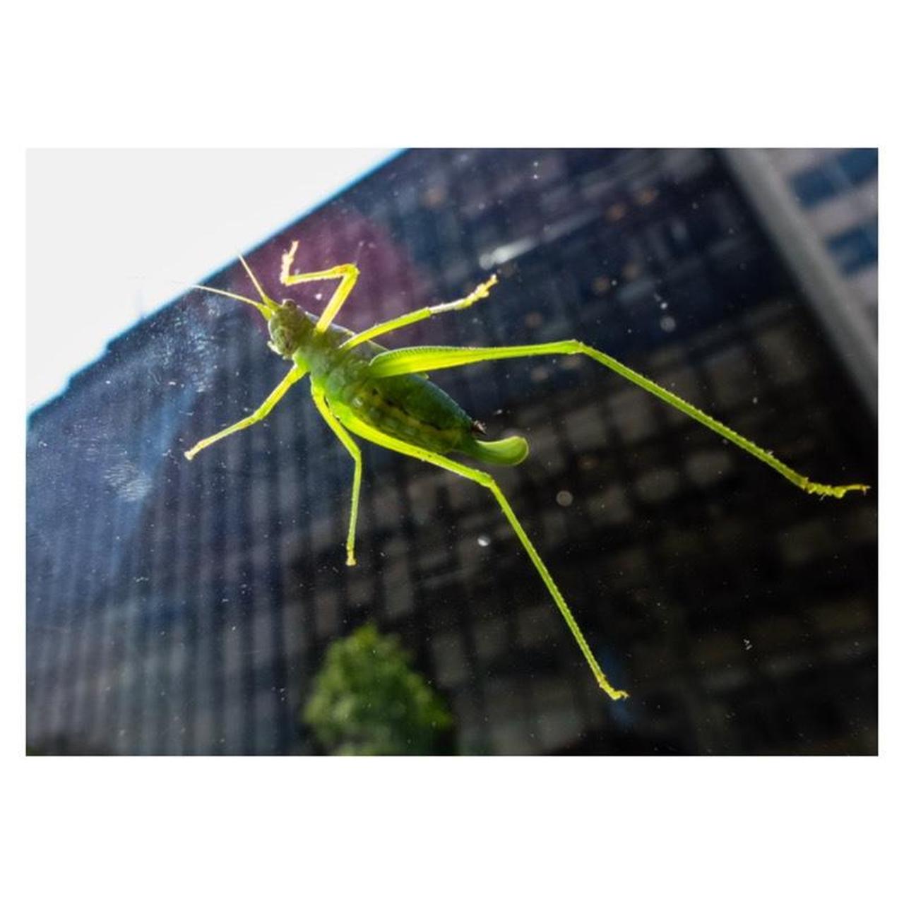 Sony Cyber-shot DSC-WX300 Digital Camera | 18.2MP | Tested & Working | Black